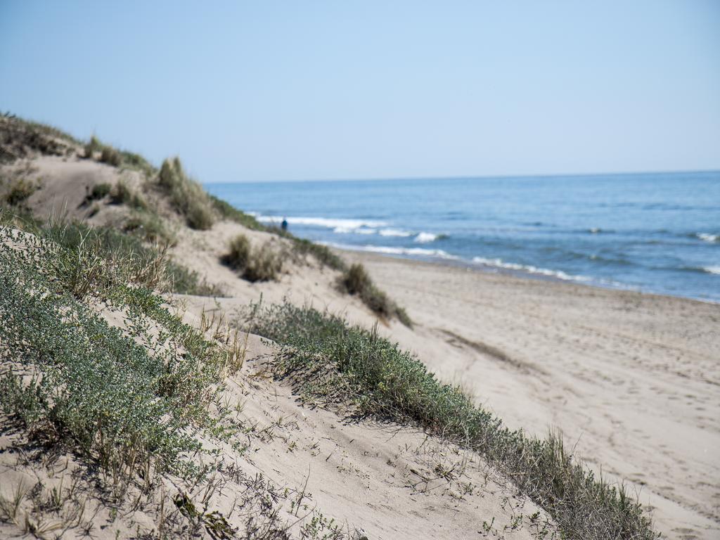 Wood House Close Beach Marbella Eksteriør billede